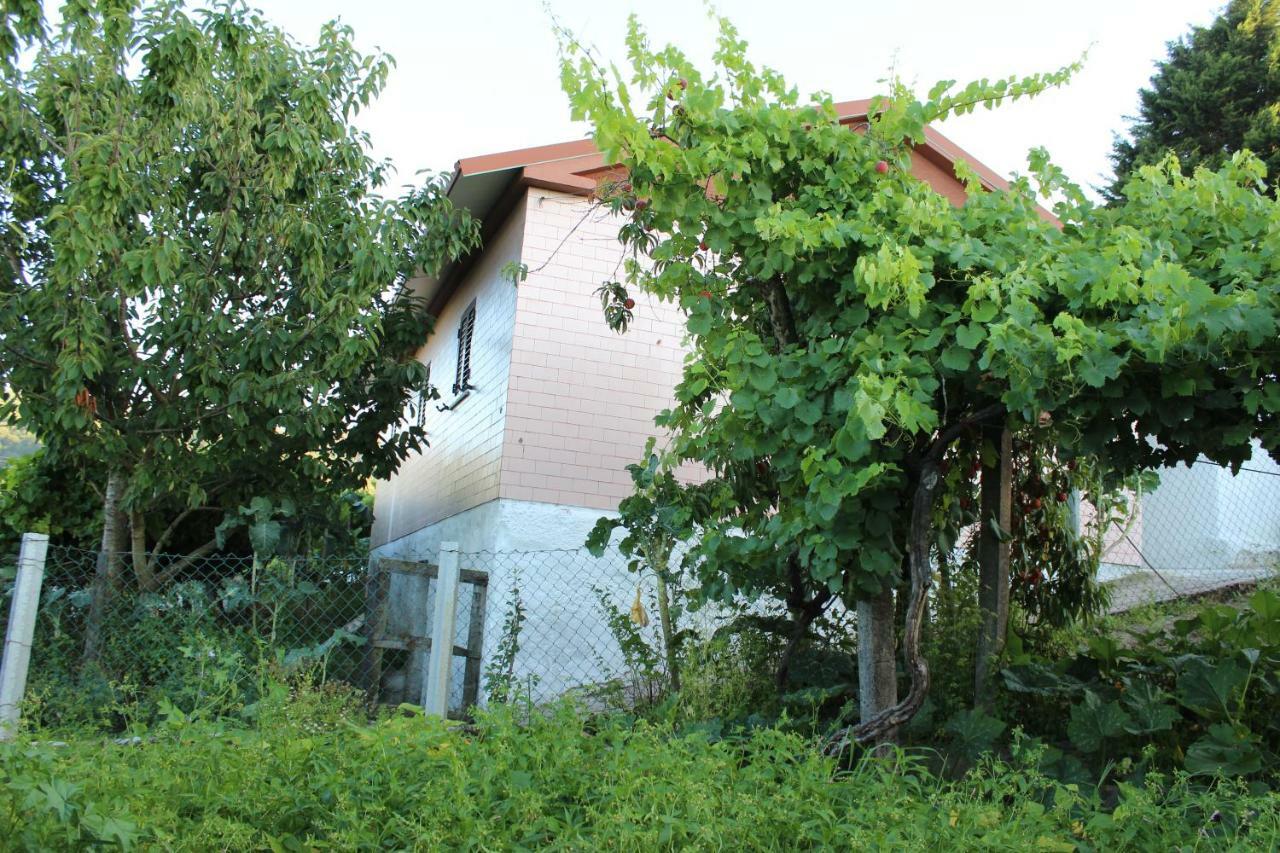 Alojamento Da Ribeirinha Carquere Dış mekan fotoğraf