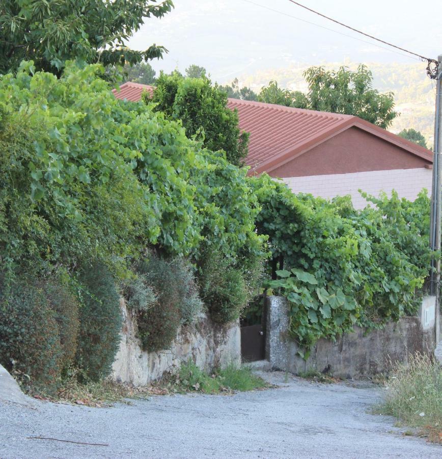 Alojamento Da Ribeirinha Carquere Dış mekan fotoğraf
