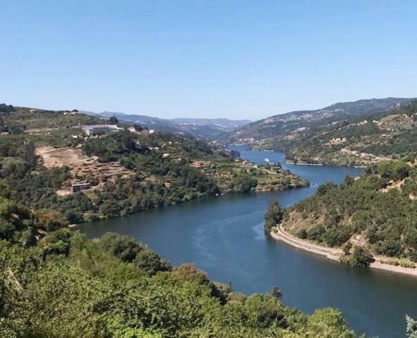 Alojamento Da Ribeirinha Carquere Dış mekan fotoğraf