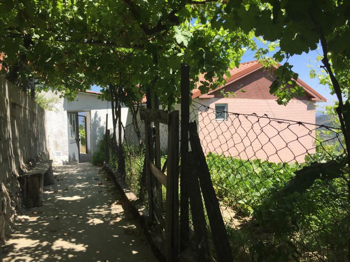 Alojamento Da Ribeirinha Carquere Dış mekan fotoğraf